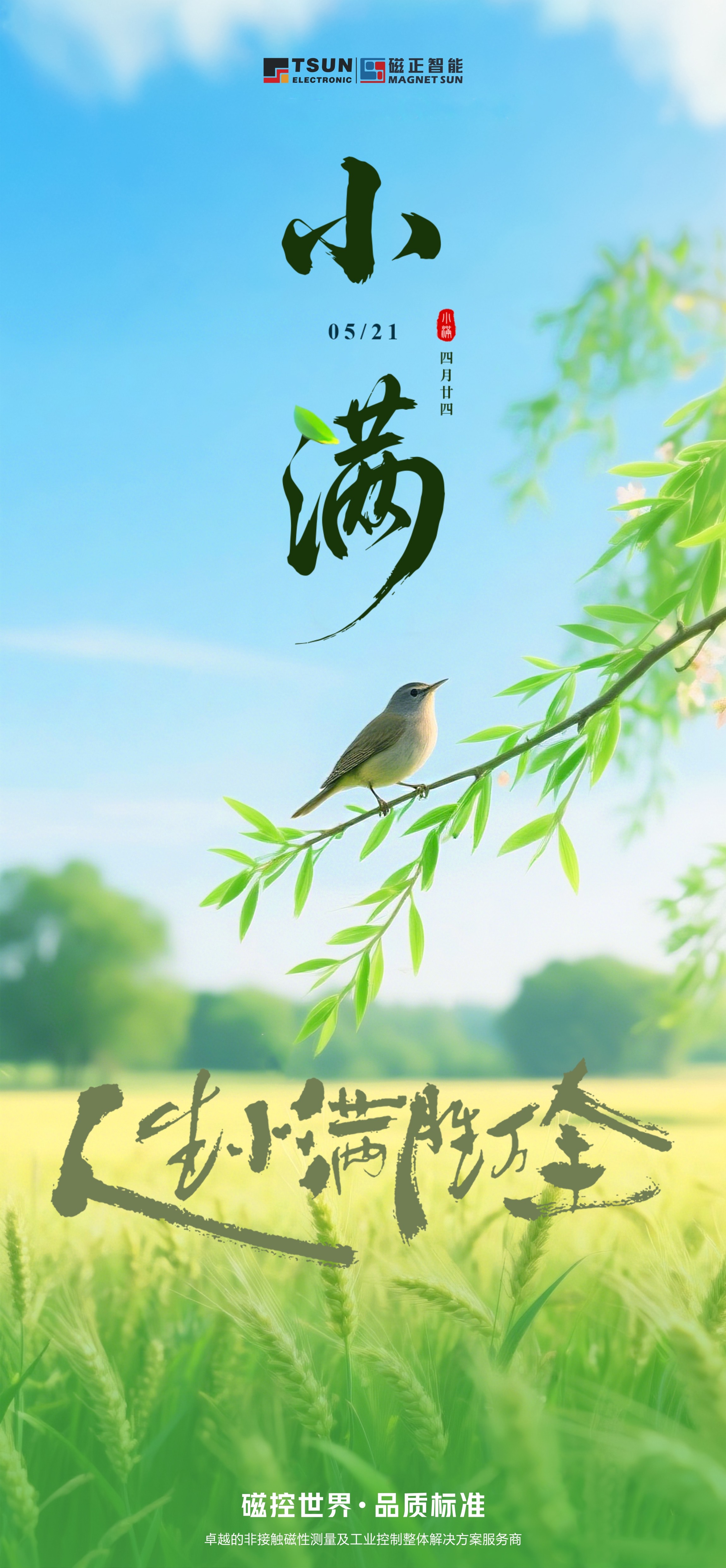 XIAOMIAN3.jpg
